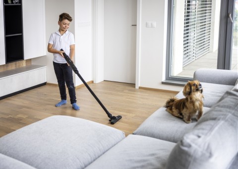 Lauben Hand Vacuum 2in1 120BC Kézi porszívó